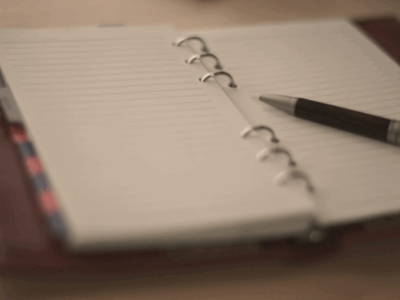 【WordPress】超軽量YouTube埋め込み