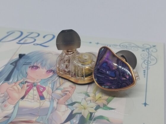 NICEHCK DB2 インプレ｜バンドの低域に溺れる快楽と一体感極振りチューニング