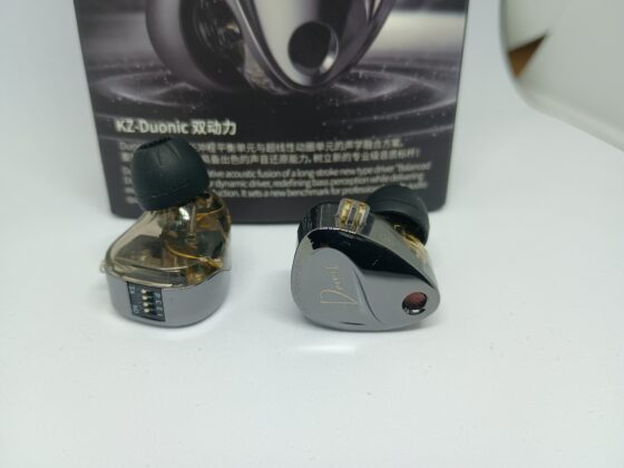 KZ Duonic インプレ｜DDのパワーと平面の情報量を掛け合わせた個性的サウンド